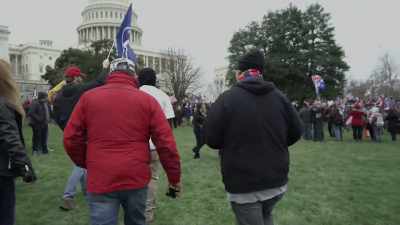 Did the January 6 protesters go to DC to mount
an insurrection? - 2000 Mules