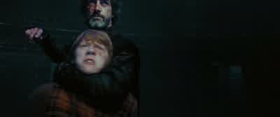Did you actually believe... - Harry Potter and the Order of the Phoenix