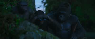Did you find the Colonel? - War for the Planet of the Apes