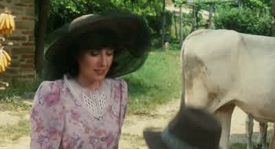 - Did You get stung anywhere else? - Life Is Beautiful