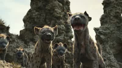Did you hear that? - The Lion King