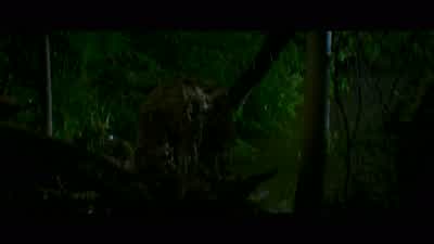 Did you see the Arrowhead? - Jungle Cruise