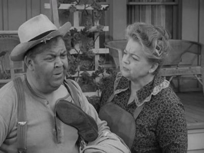 DID YOU VACUUM
THE HALL? - The Andy Griffith Show