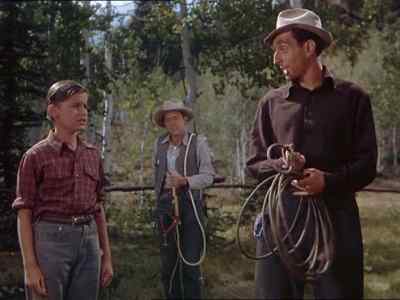 Didn´t you find
a broken mule shoe last night? - My Friend Flicka