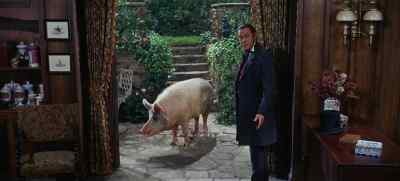 Didn't answer me. - Doctor Dolittle