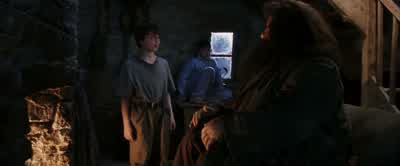 Didn't you ever wonder whereyour mum and dad learned it all? - Harry Potter and the Philosopher's Stone