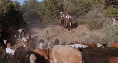 Didn't you feel stupid - City Slickers
