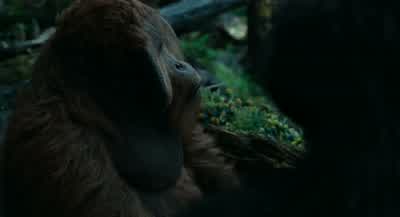 Didn't know them like you did. - Dawn of the Planet of the Apes