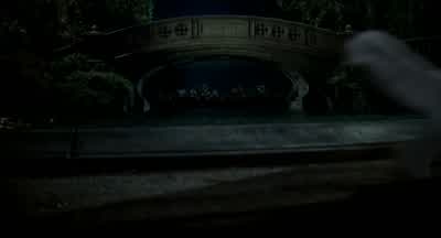 Didn't your mothers warn you not to go into Central Park at nightMy mother was the reason you didn't go into Central Park at night - Stuart Little