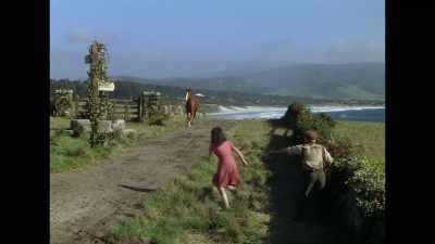 Didn't occur to me
that I was working for money. - Elizabeth Taylor: The Lost Tapes