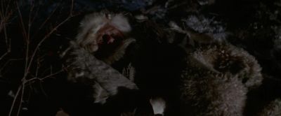Didn't put enough dirt down - Jeremiah Johnson
