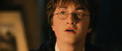 - Didn't you hear it? - Harry Potter and the Chamber of Secrets