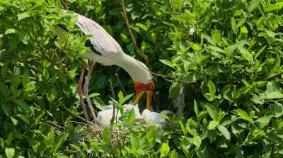 Different approaches with one purpose. - Surviving Paradise: A Family Tale