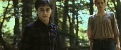 Diffindo. Reducto. - Harry Potter and the Deathly Hallows: Part 1
