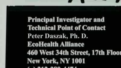 Diffuse is written by Peter Daschick, - Thank You Dr. Fauci