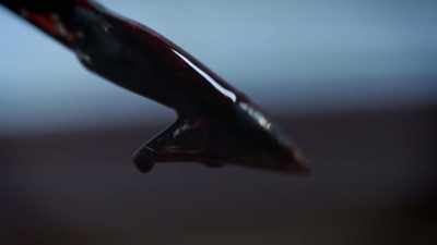 Dimond: THE PROSECUTION SAYS
THAT THE CLAW ON IT - An American Murder Mystery: The Staircase