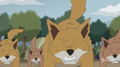 (dingoes growling) - Regular Old Bogan