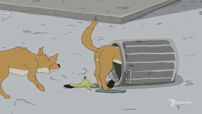 (dingoes sniffling) - Regular Old Bogan