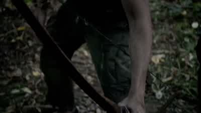Dinner. - Arrow