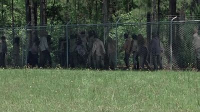 Dino, we need an opening.
Find one or make one. - The Walking Dead