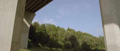 [dinosaur grunting] - Dino Dana: The Movie