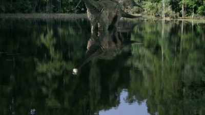 Dinosaurs dominated all of Gondwana, - Modern Dinosaurs