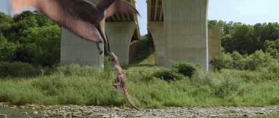 [dinosaurs screeching] - Dino Dana: The Movie