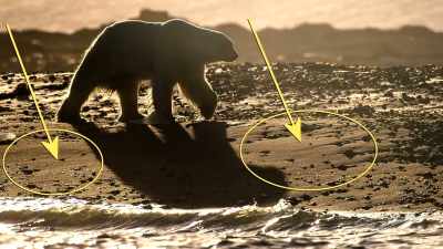 Direct sunlight
will always be brighter - American Moon