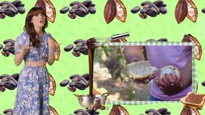 Direct trade is when chocolate
makers buy their cacao - What Am I Eating? With Zooey Deschanel