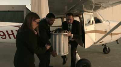 Director Glasswell,
we have the bomb. - Skydog