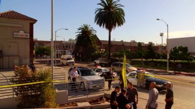 Director. - NCIS: Los Angeles