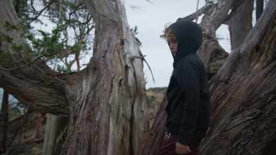 Dirk: When it first split, - Trees and Other Entanglements
