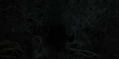 [dirt rattling] - The Watchers