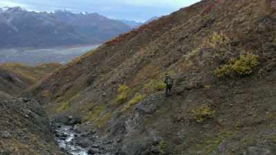 Dirt, twigs, berries, - Life Below Zero: Next Generation