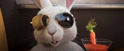 Dirty, no collars,
runnin' from the fuzz? - Gracie & Pedro: Pets to the Rescue