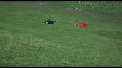 Disappeared. - The Princess Bride
