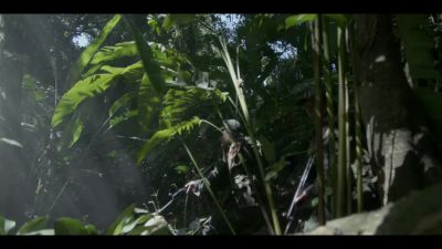 DISCO:
Where the fuck
did these guys come from? - Tom Clancy's Jack Ryan