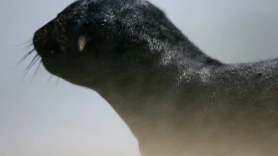 Disoriented by the punishing heat, - Hostile Planet