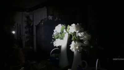 Dispatch?
(sobbing) - The Fear Footage