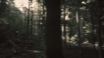 (Distant explosion) - Unabomber: In His Own Words