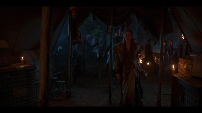 [distant horse neighs] - The Witcher