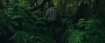 - (distant howling)
- (thunder rumbling in distance) - The Animal Kingdom
