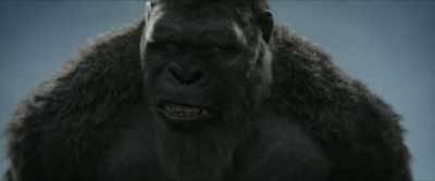 [distant roar] - Godzilla x Kong: The New Empire