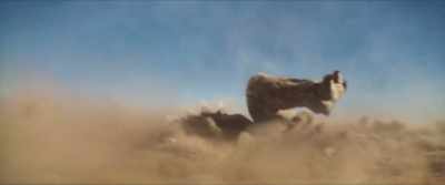 [distant shriek] - Godzilla x Kong: The New Empire
