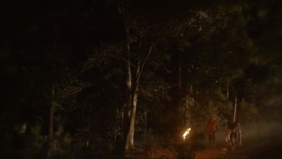 [Distant wolves baying] - The Originals