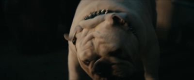 (distorted barking) - The Boys
