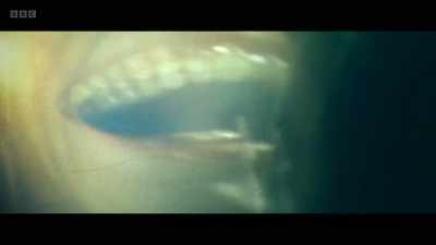 DISTORTED LAUGHTER - Am I Being Unreasonable?