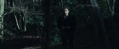 [distorted scream] - Wolf Garden