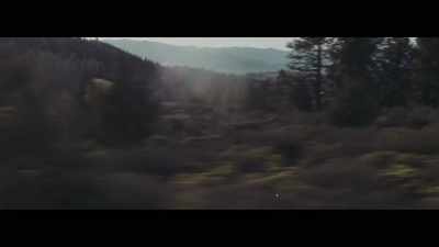 [distorted screaming] - Hotel Dunsmuir