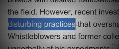 "Disturbing practices." - Winnie-the-Pooh: Blood and Honey 2